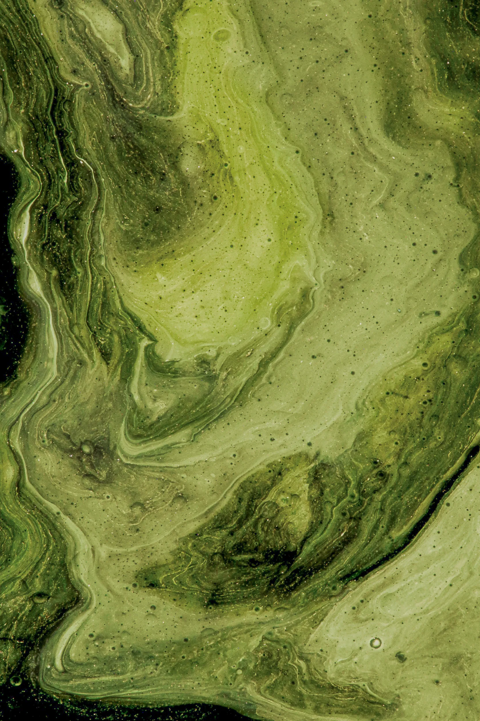 Algae, Studio Vanesa Casas